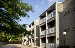 Almond Tree Building