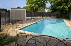 Almond Tree Pool