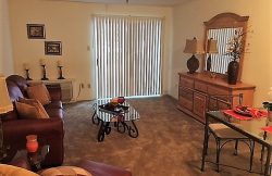 Almond Tree Living Room